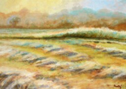 Jitro rosou políbené  50x70